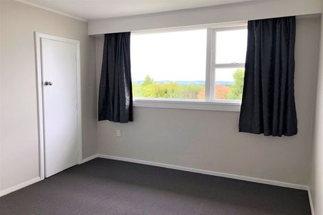 Photo of property in 91 Wilson Road, Balclutha, 9230