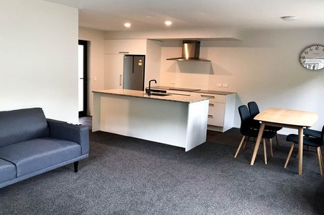 Photo of property in 31a Malvern Street, Woodhaugh, Dunedin, 9010