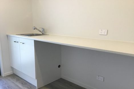 Photo of property in 28 Bonecrusher Street, Lincoln, 7608