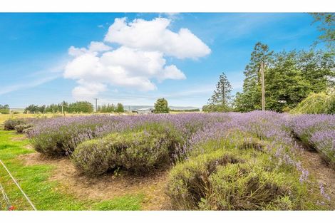 Photo of property in 453 Wilden School Road, Wilden, Tapanui, 9587