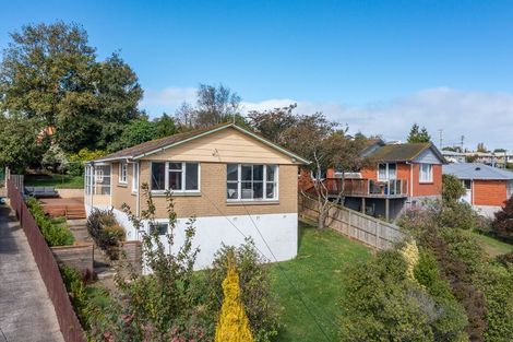 Photo of property in 129 Mulford Street, Concord, Dunedin, 9018