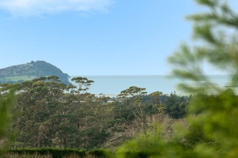 Photo of property in 100 Woodland Road, Tahawai, Katikati, 3170