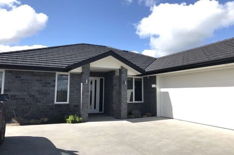 Photo of property in 132 Hillpark Drive, Pokeno, 2402