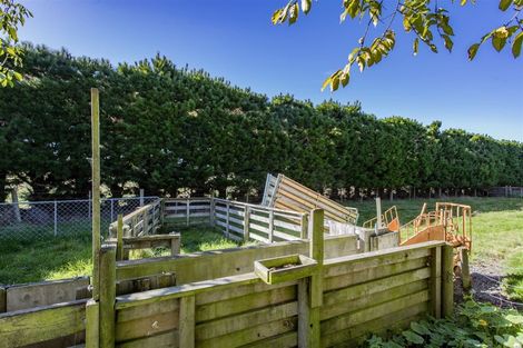 Photo of property in 415 Rangiora Leithfield Road, Sefton, Rangiora, 7477