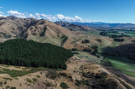 Photo of property in 287 Barracks Road, Hawkesbury, Renwick, 7272