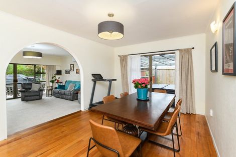 Photo of property in 14 Snowdon Avenue, Terrace End, Palmerston North, 4410