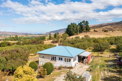 Photo of property in 25 Campbells Track, Lake Roxburgh Village, Roxburgh, 9571