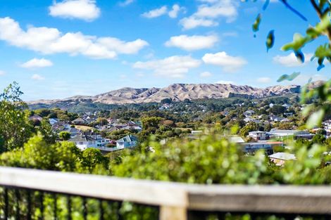 Photo of property in 166a John Burke Drive, Aotea, Porirua, 5024