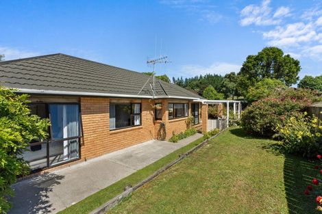 Photo of property in 223 Heatherlea East Road, Levin, 5571