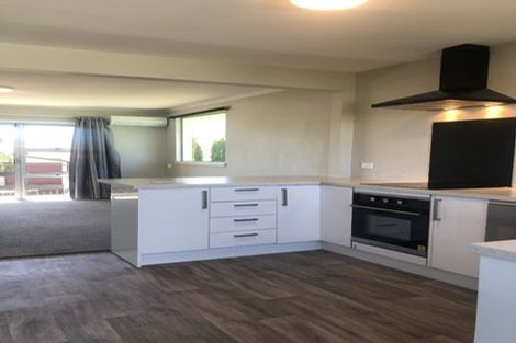 Photo of property in 1/101 Middlepark Road, Sockburn, Christchurch, 8042