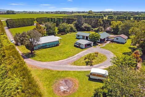Photo of property in 471 Western Drain Road, Edgecumbe, Whakatane, 3192