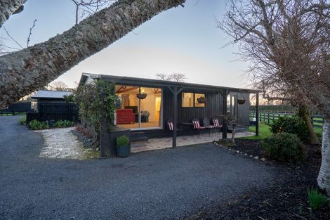 Photo of property in 43 Forrest Road, Cambridge, 3493