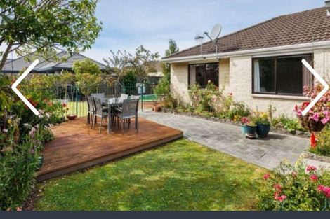 Photo of property in 155 Milson Line, Milson, Palmerston North, 4414