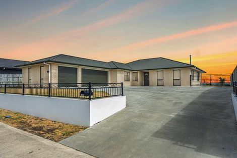 Photo of property in 33 Magnolia Crescent, Tawhero, Whanganui, 4501