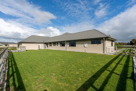 Photo of property in 826 Piako Road, Gordonton, Hamilton, 3281
