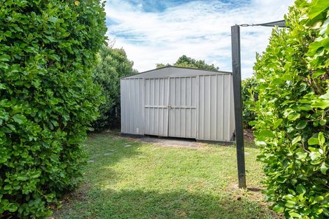 Photo of property in 17 Kentucky Crescent, Nawton, Hamilton, 3200