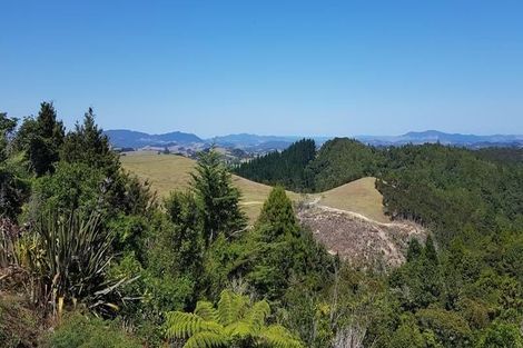 Photo of property in 489 Ruapekapeka Road, Towai, Hikurangi, 0182