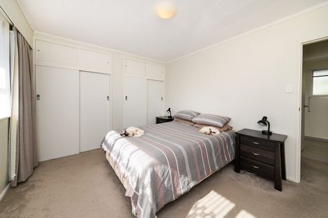Photo of property in 51 Fitzroy Street, Terrace End, Palmerston North, 4410