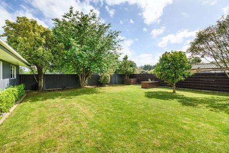 Photo of property in 115 Winchester Street, Ashhurst, 4810