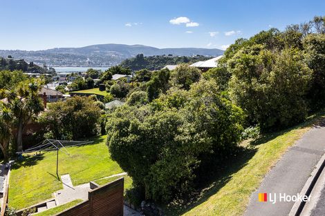 Photo of property in 38 Spottiswoode Street, Andersons Bay, Dunedin, 9013