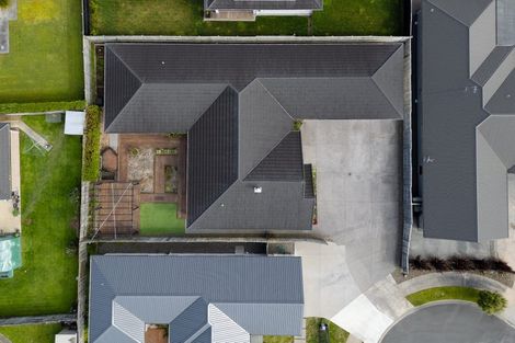 Photo of property in 6 Harrier Court, Flagstaff, Hamilton, 3210