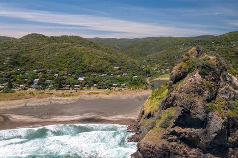 Photo of property in 20 Garden Road, Piha, 0772