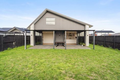 Photo of property in 20 Meachem Road, Chartwell, Hamilton, 3210