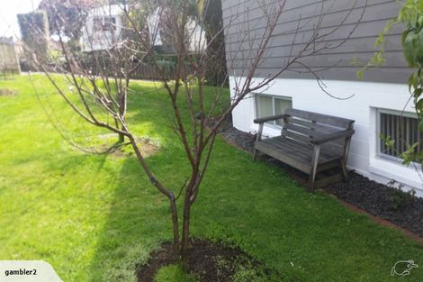 Photo of property in 80 Taipari Street, Maungatapu, Tauranga, 3112