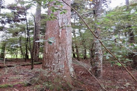 Photo of property in 504b Wairere Road, Maungaturoto, 0571