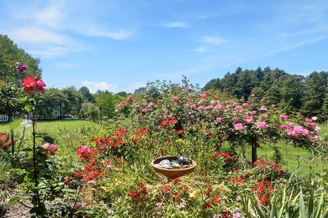 Photo of property in 131b Hogg Road, Rotoma, Whakatane, 3192