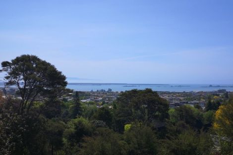 Photo of property in 48 Selbourne Avenue, Richmond, 7020