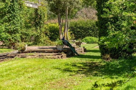 Photo of property in 213 Te Whiti Road, Homebush, Masterton, 5885