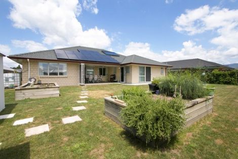 Photo of property in 8 Nolan Place, Katikati, 3129