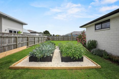 Photo of property in 31 Costello Drive, Ngatea, 3503