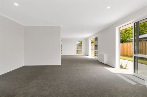 Photo of property in 1c Clifford Place, Amberley, 7410