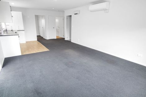 Photo of property in 11a Thomson Avenue, Dinsdale, Hamilton, 3204