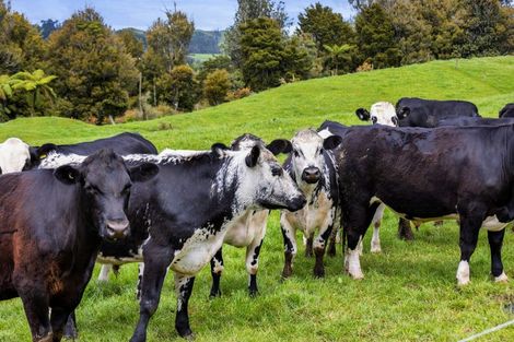 Photo of property in 19 Roddy Road, Everett Park, New Plymouth, 4373