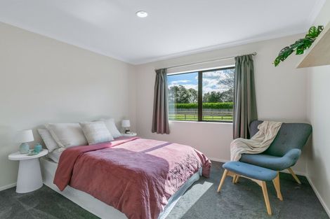 Photo of property in 370 Tararua Road, Levin, 5571