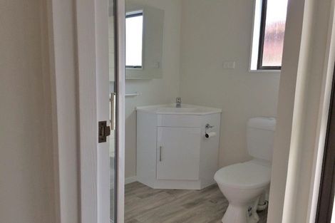 Photo of property in 93 Parker Avenue, Levin, 5510