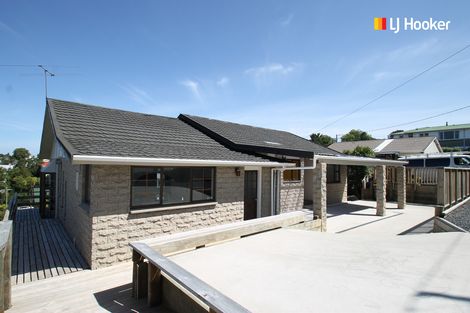 Photo of property in 15 Havelock Street, Mornington, Dunedin, 9011