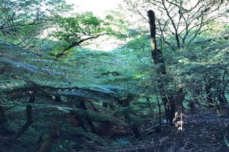Photo of property in 1855 Highway, Pukekawa, 2696