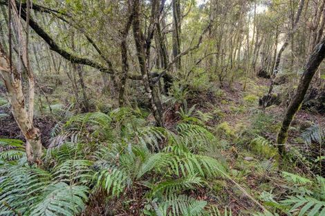 Photo of property in 67c Blue Spur Road, Blue Spur, Hokitika, 7882