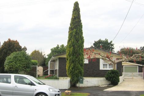 Photo of property in 52 Fitzroy Avenue, Fitzroy, Hamilton, 3206