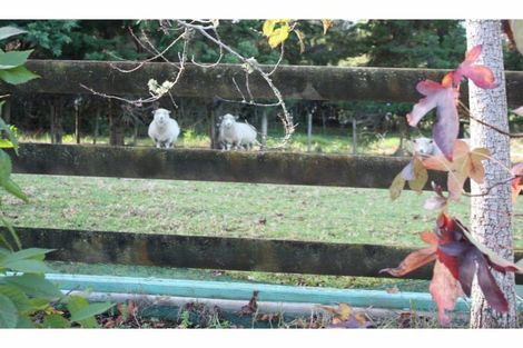 Photo of property in 41 Apotu Park Lane, Kauri, Kamo, 0185