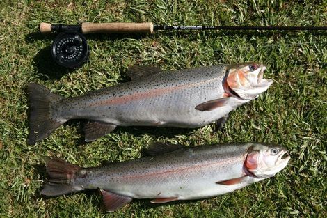 Photo of property in 483 Spencer Road, Lake Tarawera, Rotorua, 3076