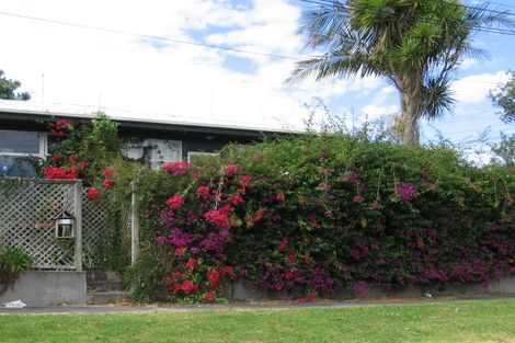 Photo of property in 68a Fourth Avenue, Kingsland, Auckland, 1021
