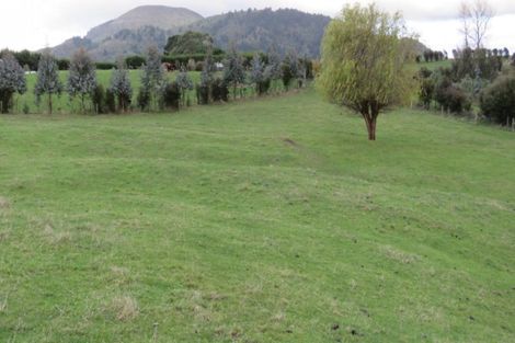 Photo of property in 338 Centennial Drive, Rotokawa, Taupo, 3378