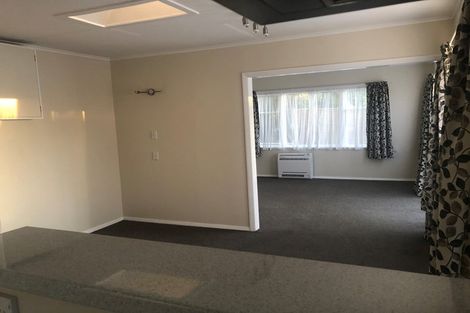 Photo of property in 21 Hobson Street, Levin, 5510