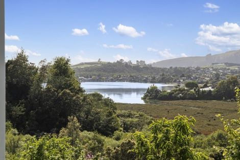 Photo of property in 80 Hammond Street, Hairini, Tauranga, 3112