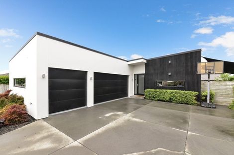 Photo of property in 17 Cole Thomas Place, Huntington, Hamilton, 3210